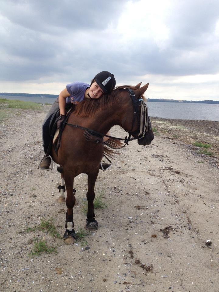 Anden særlig race Fabian - Ved vandet med min guldklump <3 billede 7