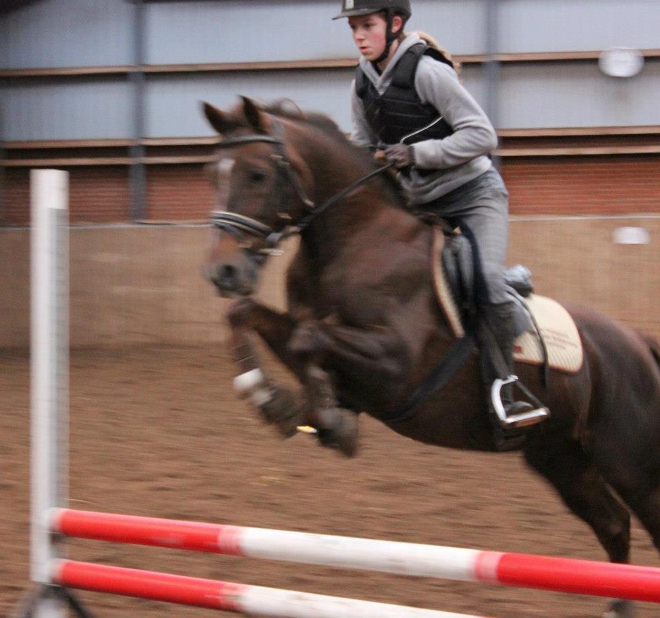 Anden særlig race Fabian - Den pony kan alting <3 billede 9