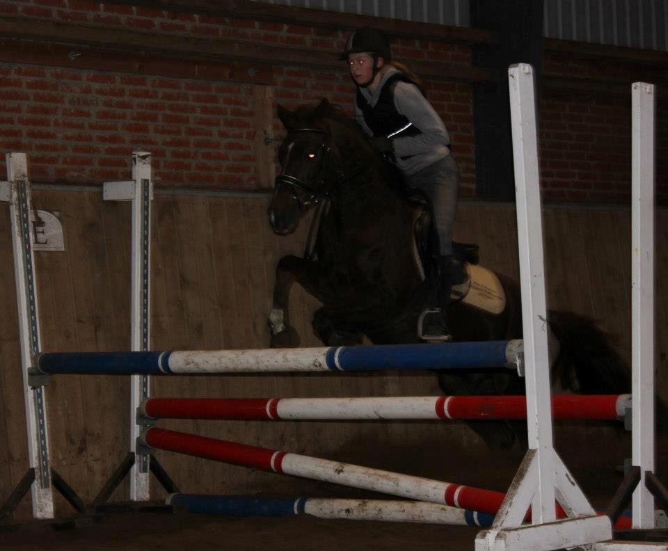 Anden særlig race Fabian - 3. gang vi sprang - endda LB (Er virkelig stolt!) billede 21