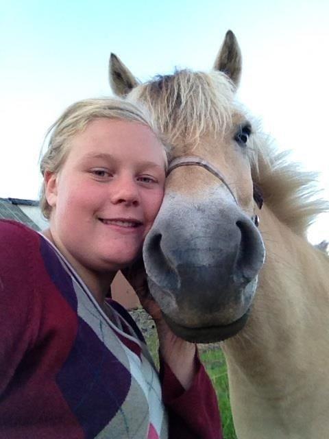 Fjordhest Maegård's Linus billede 6