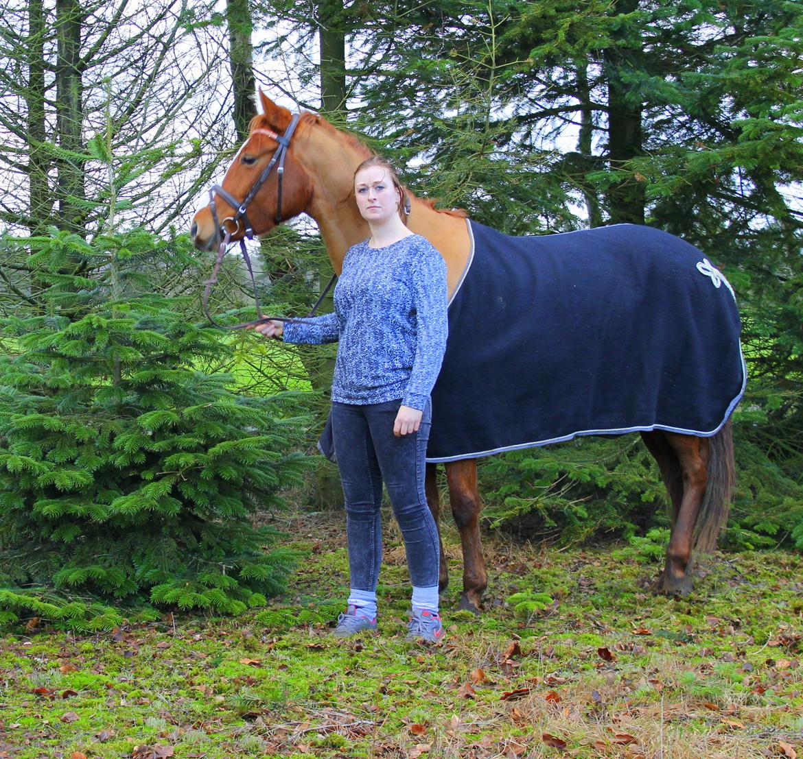 DSP Nørlunds Finette billede 14