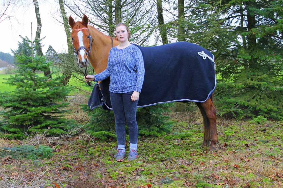 DSP Nørlunds Finette billede 15