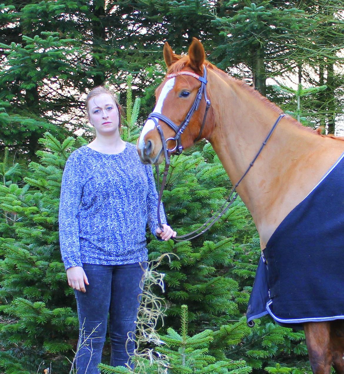 DSP Nørlunds Finette billede 16