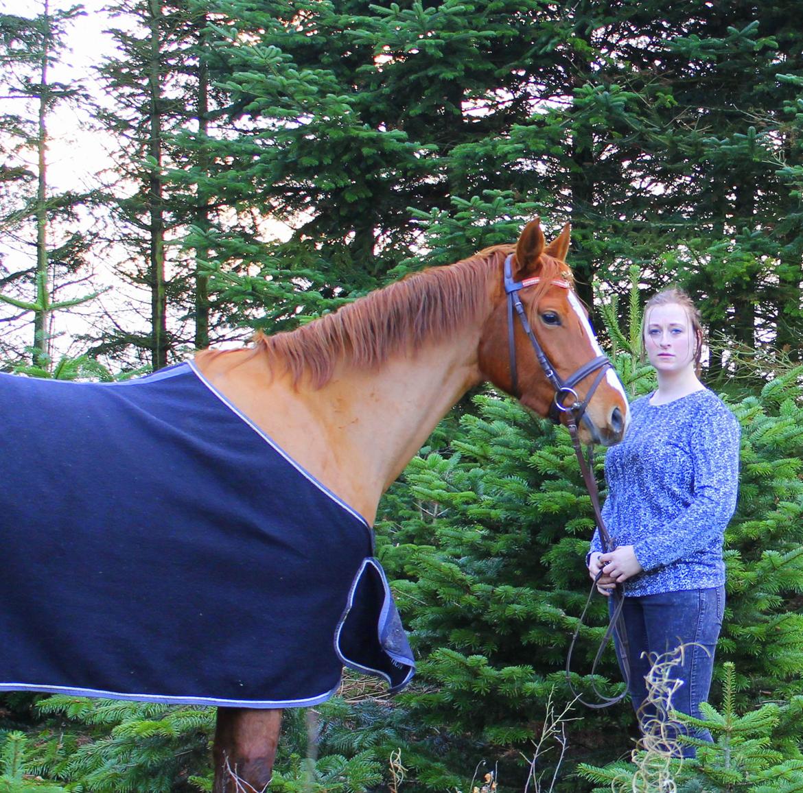 DSP Nørlunds Finette billede 17