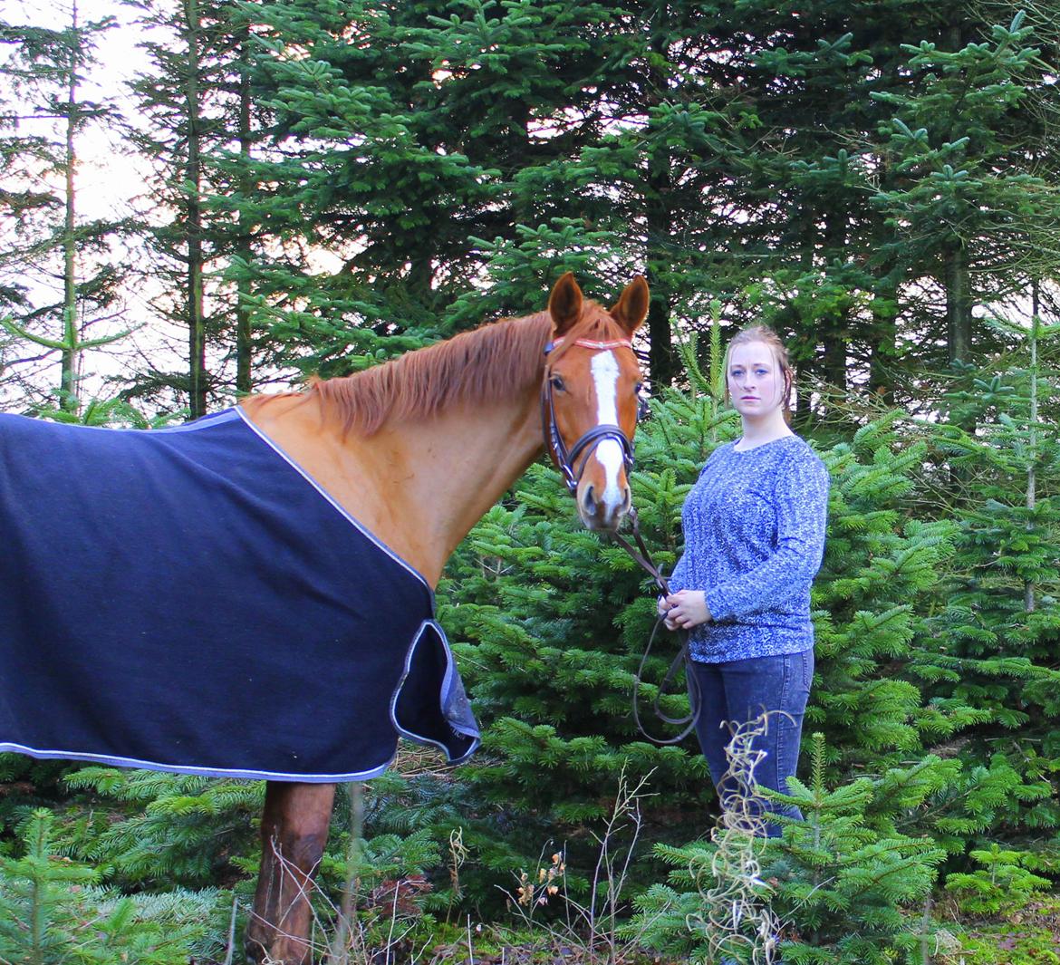 DSP Nørlunds Finette billede 18