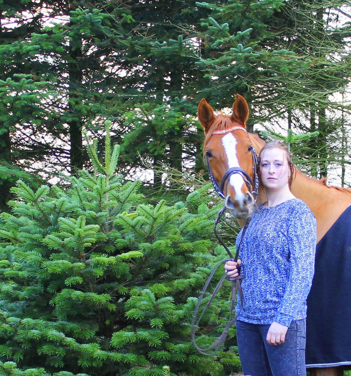 DSP Nørlunds Finette billede 19