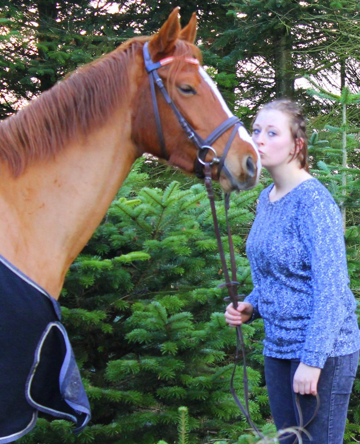 DSP Nørlunds Finette billede 20