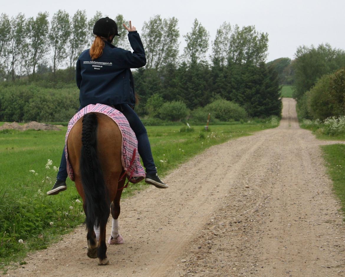 New Forest Vangsgaard's Vanity [Tidl. part] -  - Foto: Line billede 43