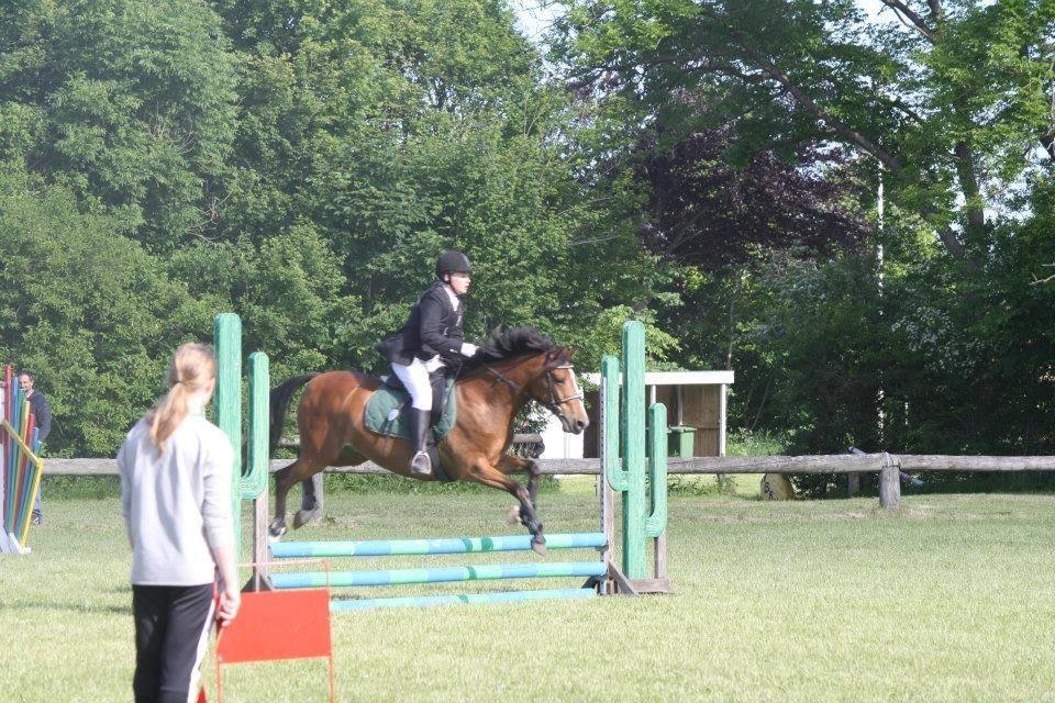 DSP Lynghøjen's Freeway billede 7