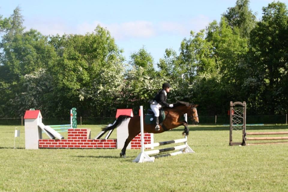 DSP Lynghøjen's Freeway billede 8