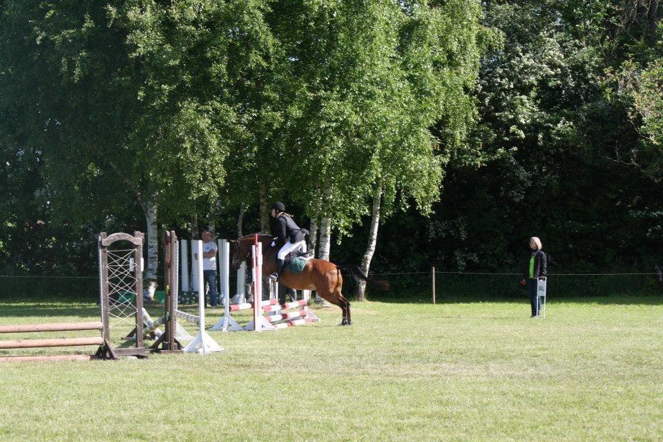 DSP Lynghøjen's Freeway billede 9