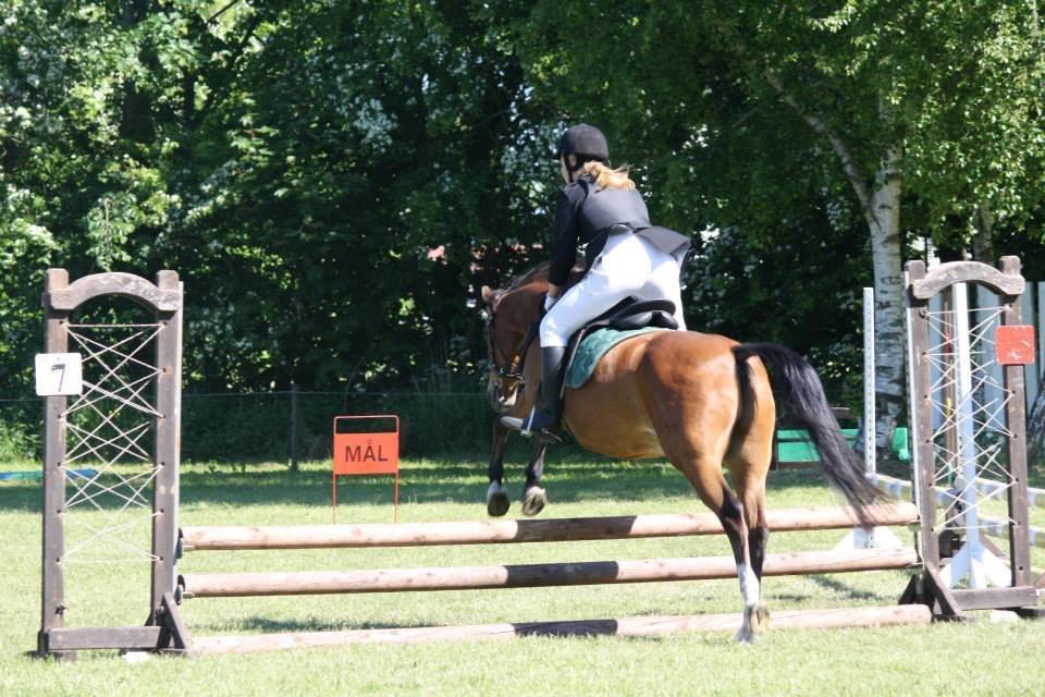 DSP Lynghøjen's Freeway billede 10