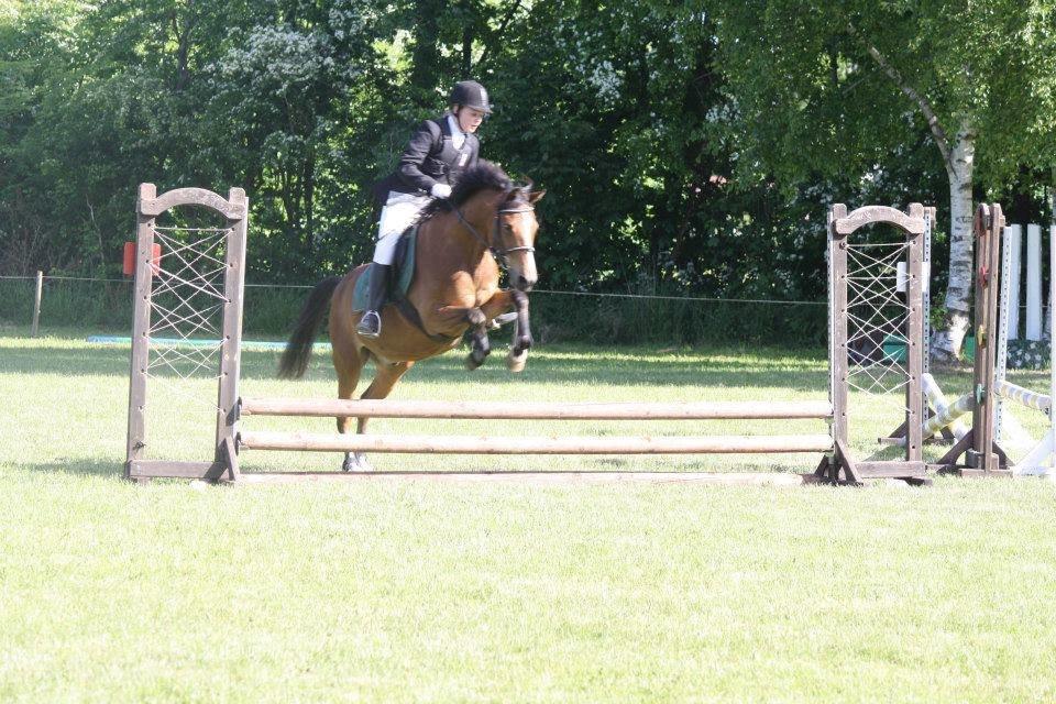 DSP Lynghøjen's Freeway billede 11