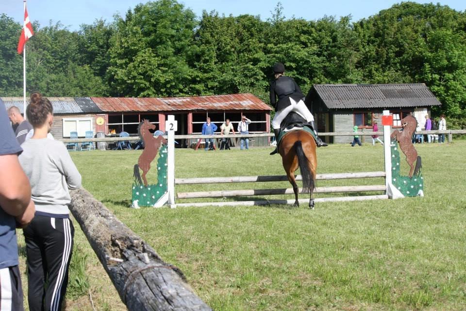 DSP Lynghøjen's Freeway billede 12