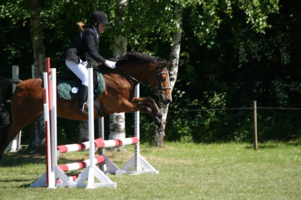 DSP Lynghøjen's Freeway billede 13