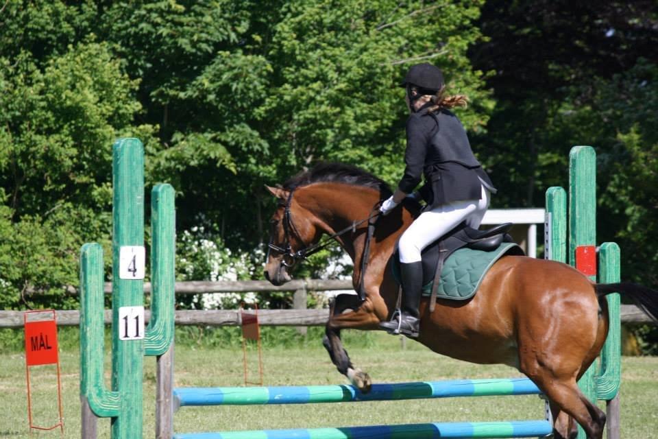 DSP Lynghøjen's Freeway billede 14