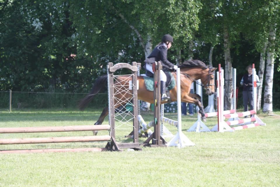 DSP Lynghøjen's Freeway billede 15