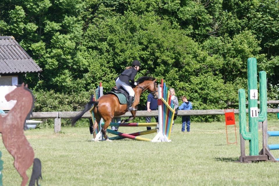 DSP Lynghøjen's Freeway billede 16