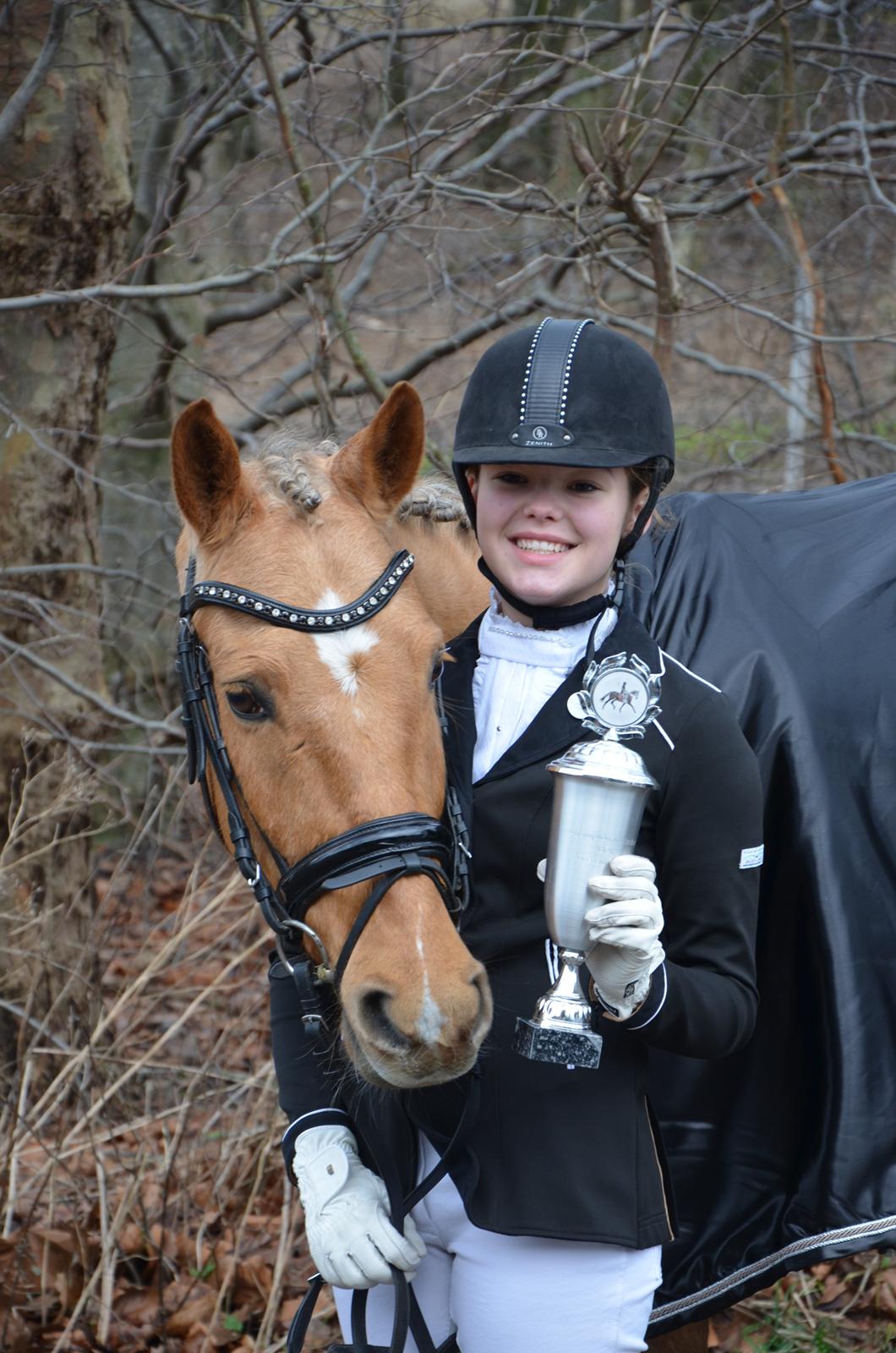 Hollandsk Sportspony Golden Star * B-pony* - Championats vinder Boller Rideklub 2013!! Med kun 3 måneders samarbejde! billede 20