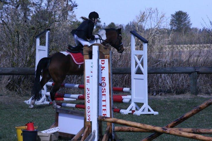 Anden særlig race Magic Rainbow billede 16