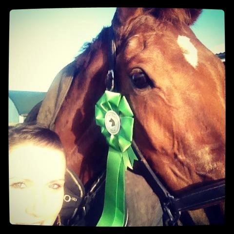 Hollandsk Varmblod Whitney billede 2