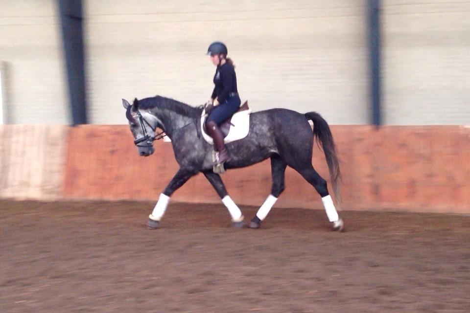 Anden særlig race Bjøslevsgaards Santana billede 17