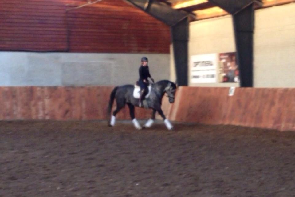 Anden særlig race Bjøslevsgaards Santana billede 21