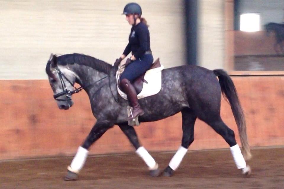 Anden særlig race Bjøslevsgaards Santana billede 22