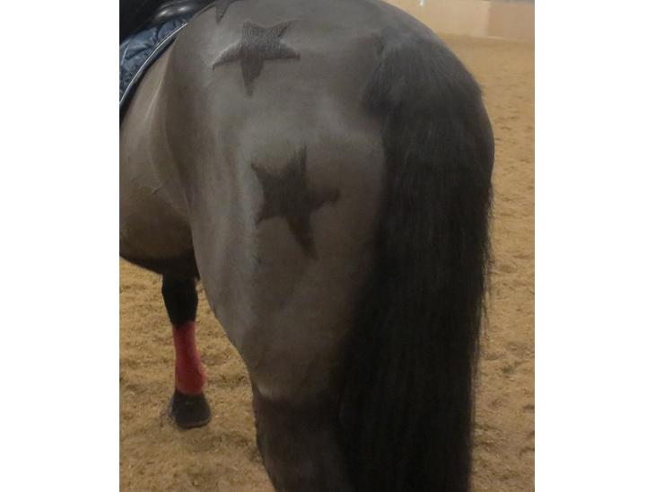 {{currentPhoto.altText}} billede {{currentPhoto.number}}