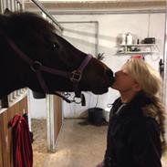 New Forest Hamborgs Fuchsia