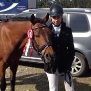 Hollandsk Sportspony K.c van de coninckserve