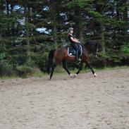 Anden særlig race Miss Patricia