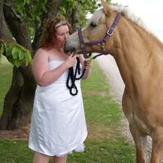 Tyroler Haflinger Nilly Kyhnaeb