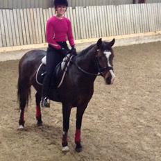 Anden særlig race Bonette