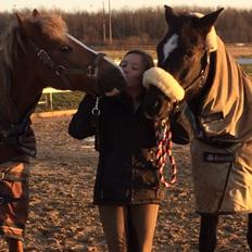 New Forest Firfod Flittiglize