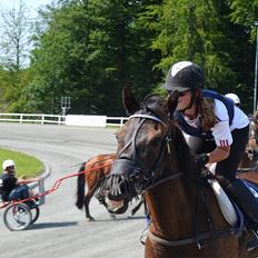 Traver Izmir (Stjernetraveren)