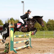 Knabstrupper Bækkeskovs Pasja *SOLGT og RIP :(*