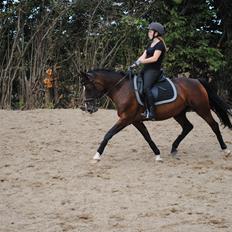 Anden særlig race Miss Patricia