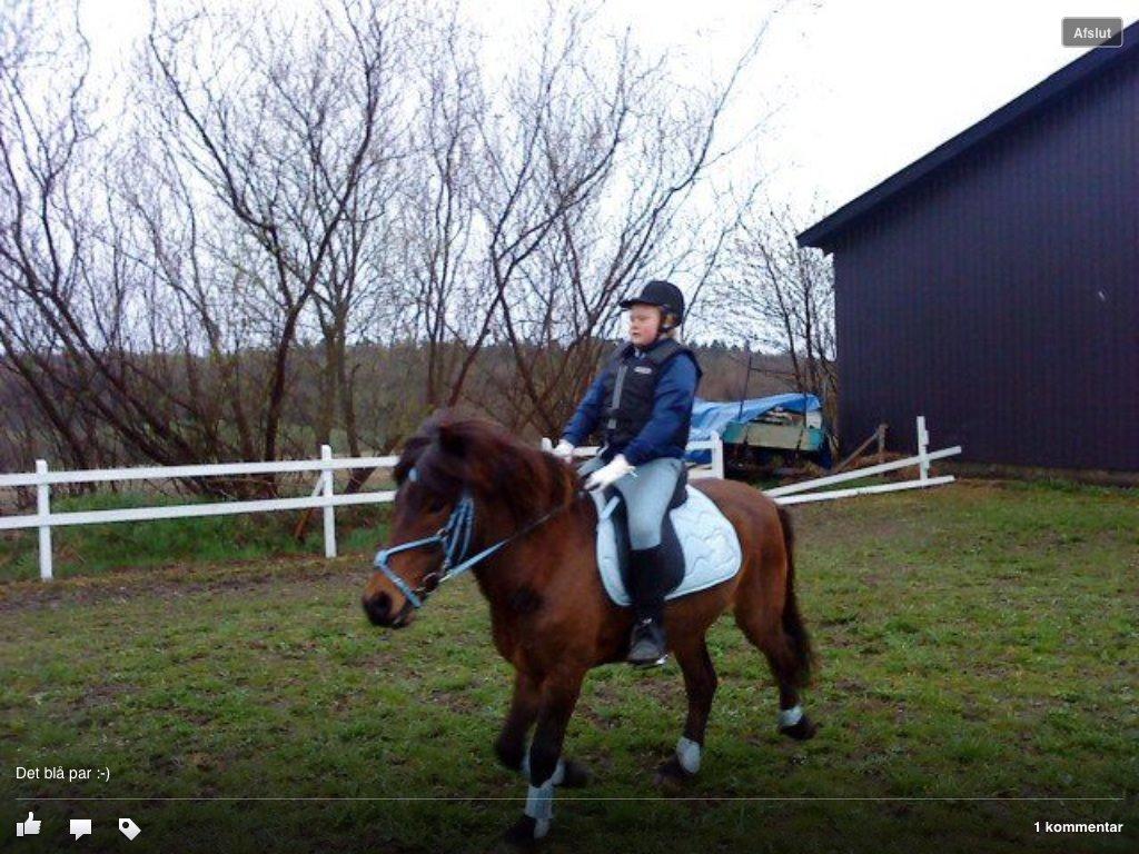 Islænder Glanni billede 2