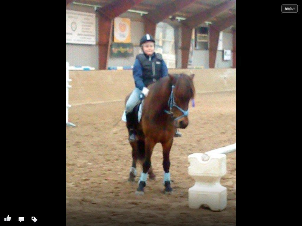 Islænder Glanni billede 3