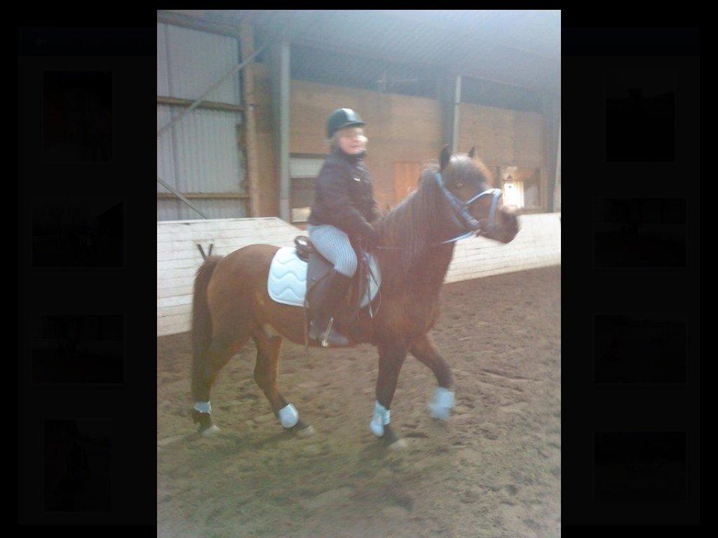 Islænder Glanni billede 4