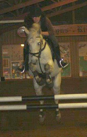 Anden særlig race Silver billede 20