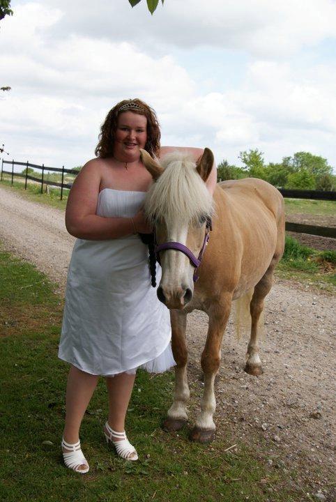 Tyroler Haflinger Nilly Kyhnaeb billede 13