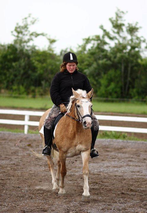 Tyroler Haflinger Nilly Kyhnaeb - Velkommen til Nilly kybnaeb's profil.

(LB3 program på Bjergby rideklub) billede 1