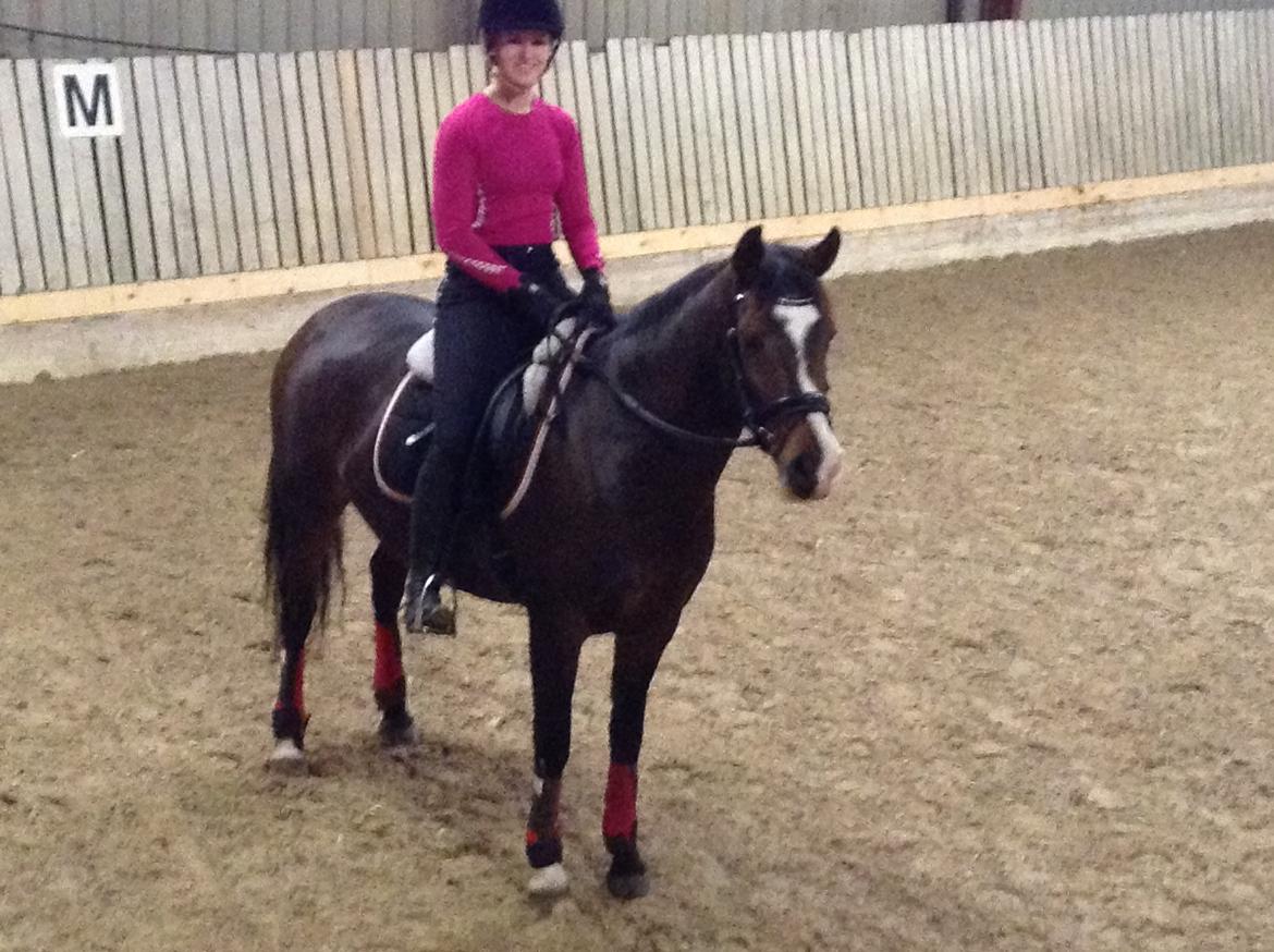 Anden særlig race Bonette - I et stykke tid har jeg redet Bo engang imellem når Line ikke har kunnet, dette billeder er fra én af gangene. billede 2