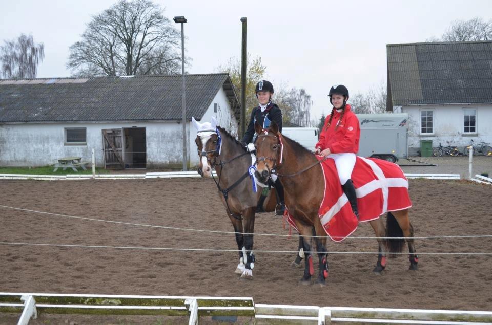 Anden særlig race Bonette - Line og jeg red mod hinanden til julestævne på JORK, hvor jeg ydmygt slog hende og Bonette.

Bonette og Line bagerst, og Misse og jeg forrest. billede 10
