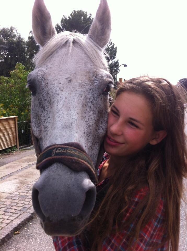 Anden særlig race Pajasso billede 8