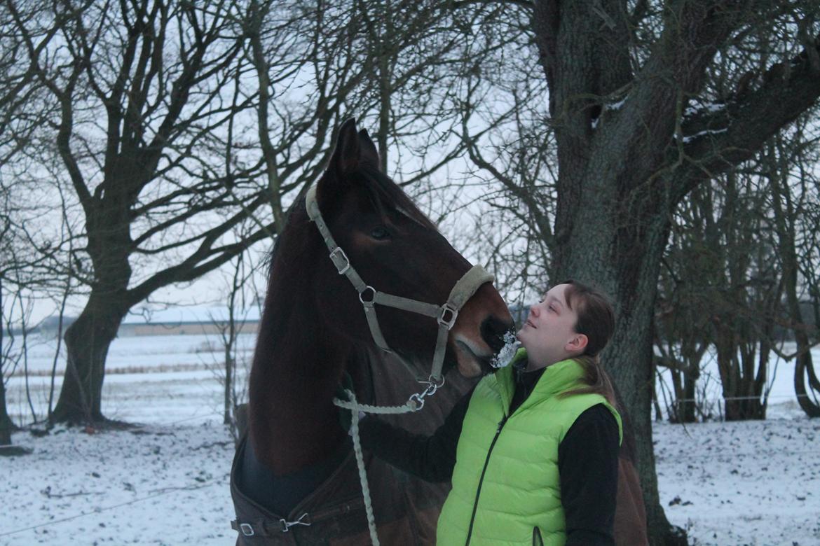 Anden særlig race Henriksøgaards Finaly May billede 20