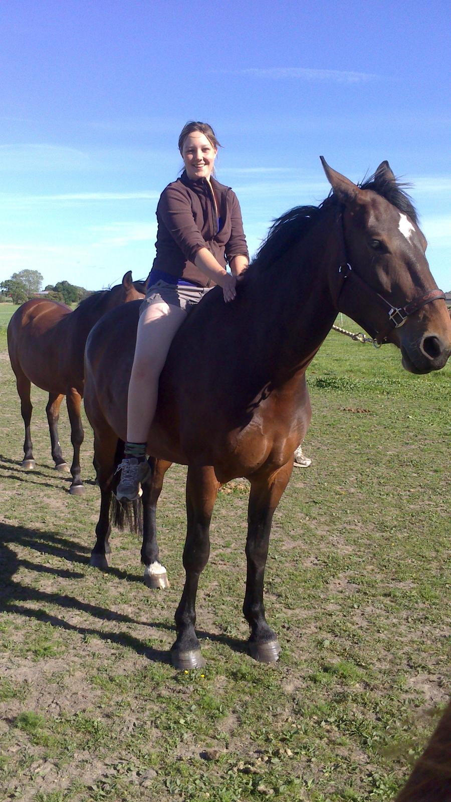 Anden særlig race Henriksøgaards Finaly May billede 21