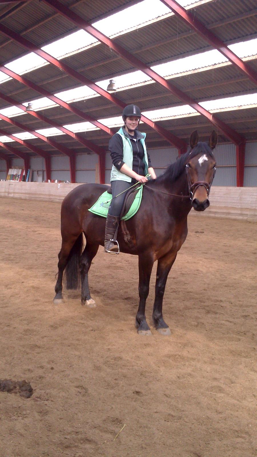 Anden særlig race Henriksøgaards Finaly May billede 23